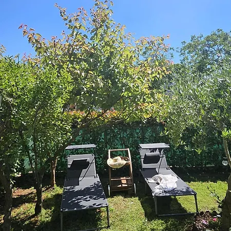 Saini Blossom * Novigrad (Istria)
