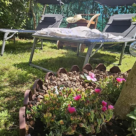 Saini Blossom Διαμέρισμα Novigrad Istria