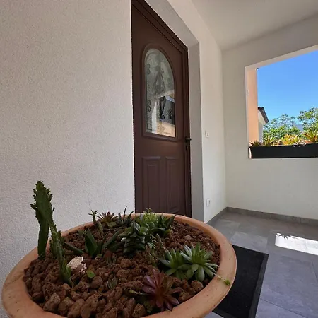 Saini Blossom Apartment