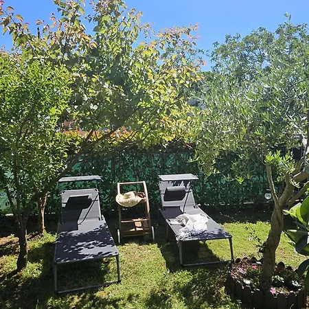Saini Blossom Apartment